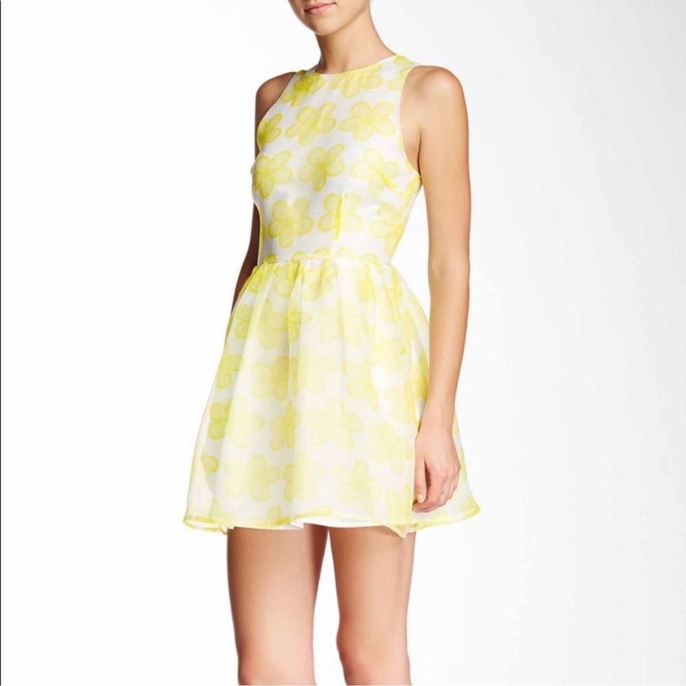 Floral Organza Dress